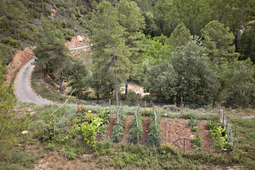 Masia Ca L'Anima Hotel La Baronia de Rialb Szoba fotó