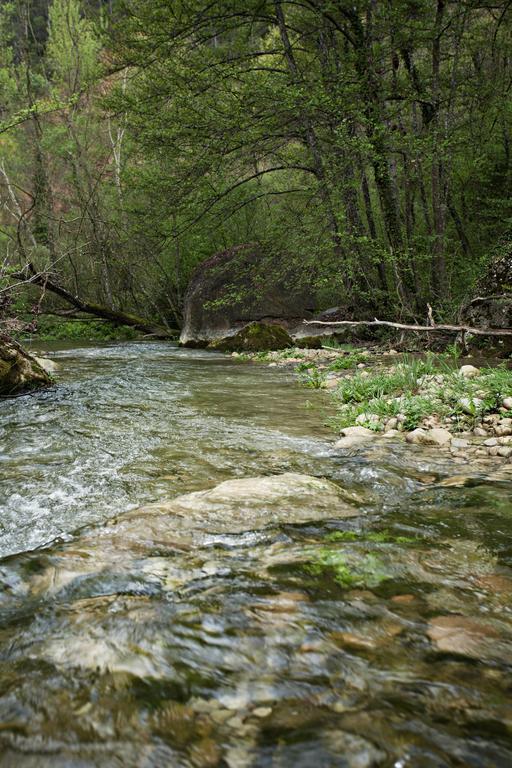 Masia Ca L'Anima Hotel La Baronia de Rialb Szoba fotó